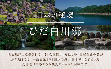 世界遺産 白川郷 宿泊施設共通利用券 300000円分 10000円相当 1万円相当 30枚 旅行 宿泊 観光 クーポン券 チケット 合掌造り 温泉 白川村 旅館 ホテル アニメ ひぐらし 聖地巡礼 