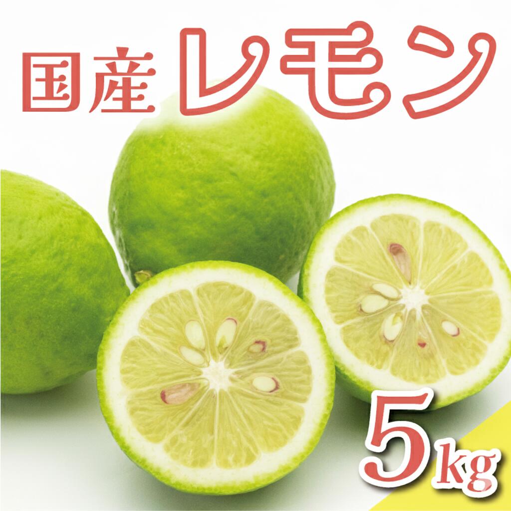 【ふるさと納税】 数量限定 先行予約 選べる レモン 5kg 訳あり 7000円 通常品 8000円 檸檬 国産 愛媛 れもん 期間限定 ワックス 防腐剤 不使用 有機栽培 特産品 フルーツ 果物 柑橘 人気 おいしい 産地直送 農家直送 レモン酎ハイ 等に くらもとファーム 愛南町 愛媛県