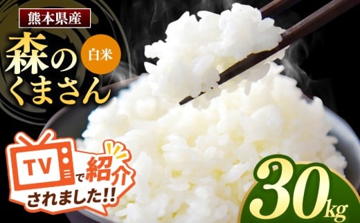 森のくまさん 白米 30kg 5kg×6袋 | 米 お米 精米 白米 30kg 5kg 6袋 送料無料 国産 国産米 熊本県産 熊本県 玉名市