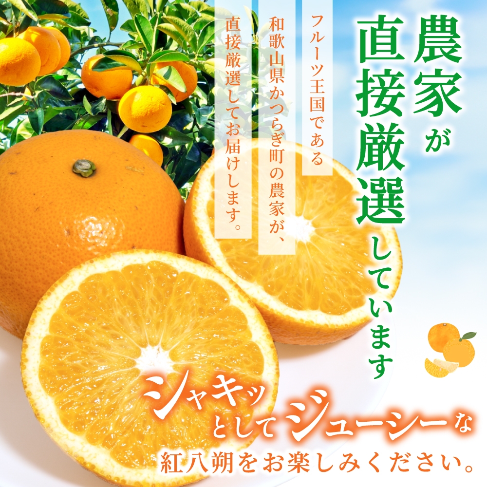 【先行予約】【数量わずか】あふれる果汁！ 希少な紅はっさく 秀品 5kg L～２L 2026年1月初旬～2026年3月末頃に順次発送予定（お届け日指定不可）/ ハッサク 八朔 紅八朔 紅はっさく フル