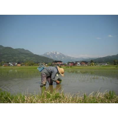 ふるさと納税 糸魚川市 新潟県糸魚川産コシヒカリ　ひすい営農センター厳選米「ひすいの里」2kg |  | 01