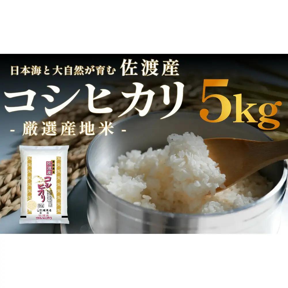 コシヒカリ精米 5kg | 新潟県 佐渡市 コシヒカリ