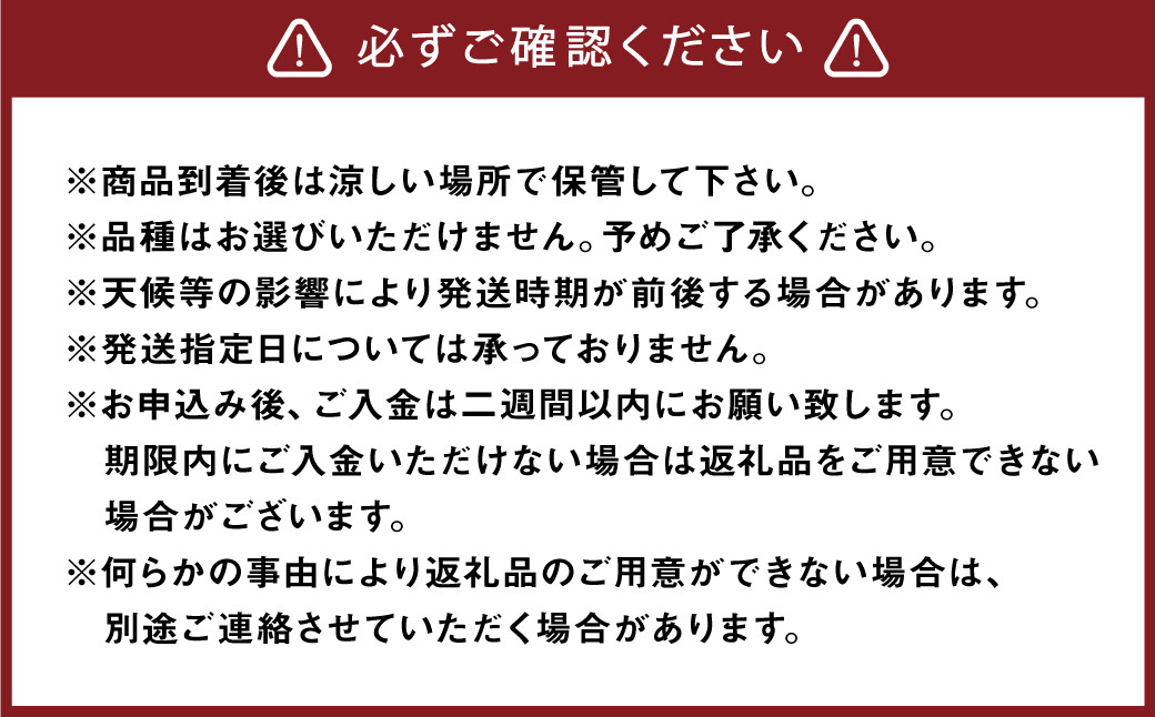 大香園の梨 3.0kg