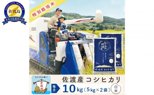
            【新米予約 3か月定期便】佐渡島産コシヒカリ 白米10Kg 令和7年 特別栽培米 農家直送
          