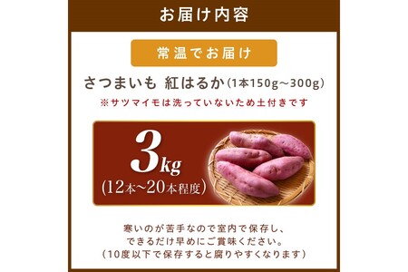 日本一！さつまいもオブザイヤー受賞のサツマイモ農家が作る「紅はるか」3kg（12~20本程度（150〜300g／本））