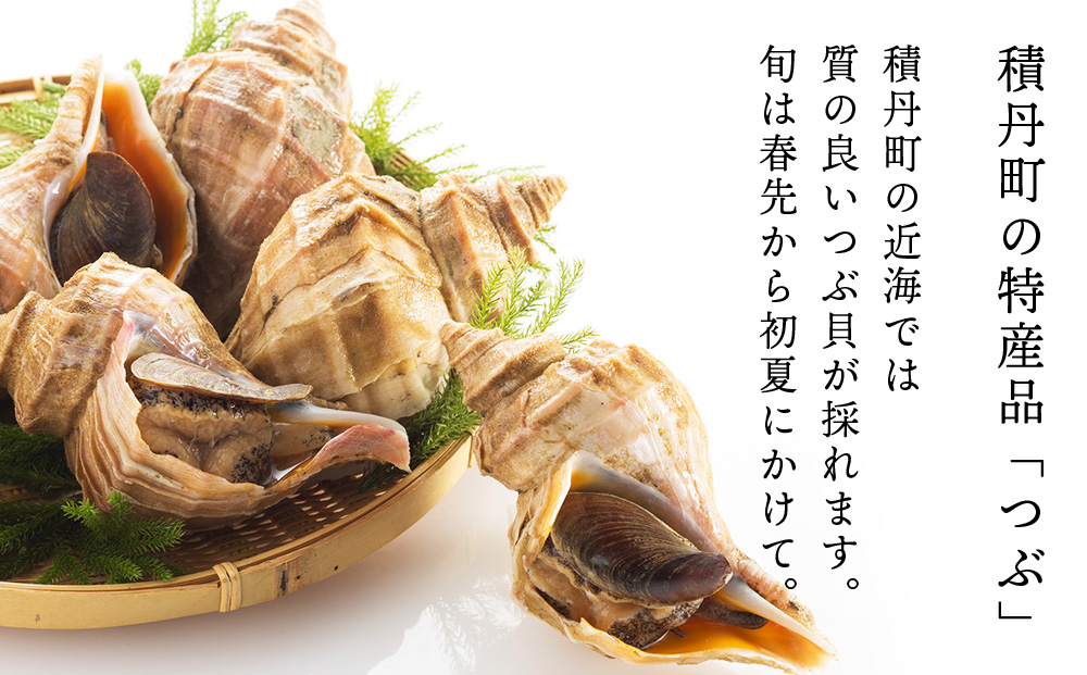 【9月30日受付終了】積丹 老舗手作りシリーズ "つぶ塩辛”160g×5個セット おつまみ 晩酌 ご飯のおとも