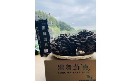 黒舞茸「真」 1kg[52210652]