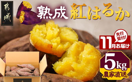 先行受付!【11月お届け】【農家直送】山下農園　熟成紅はるか 5kg_LD-I704-11_(都城市) 都城産 紅はるか S～2Lサイズ混合 山下農園 さつまいも兄弟 長期熟成 甘い