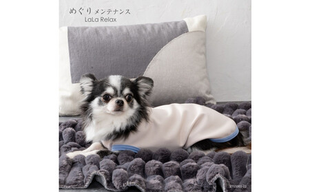 LaLaRelax BASIC　ベージュ 【サイズ：3S】| ドッグウェア 犬用 服 選べる 10サイズ 4色 株式会社トンボ めぐりメンテナンス 岡山県 岡山市