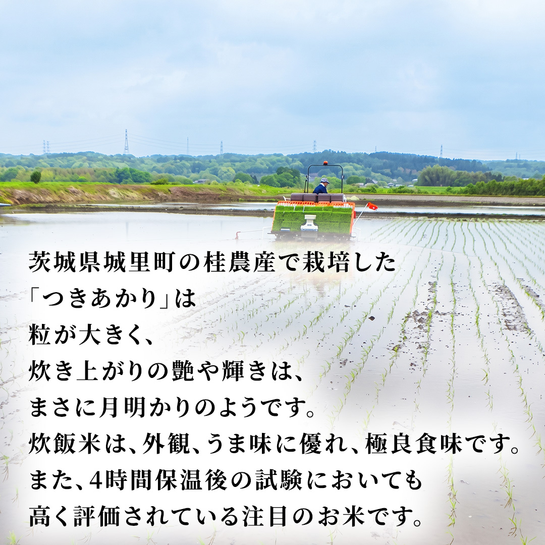 ≪新米≫ 【 6ヵ月定期便 】つきあかり 10kg ×6回 令和8年 精