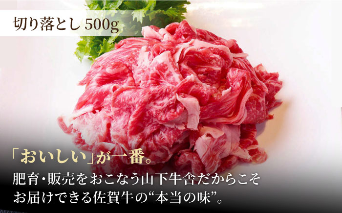 【全12回定期便】佐賀牛 おうちごはんセットA（切り落とし 500g・ミンチ 300g・牛すじ 300g）【山下牛舎】 [HAD123]