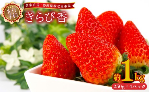 【 2027年2月上旬から順次発送】いちご きらぴ香 1kg 250g × 4パック 予約受付 期間限定 数量限定 苺 きらぴ香 イチゴ ストベリー フルーツ スイーツ デザート くだもの 果物 果汁ストロベリー 甘い おいしい 国産 安心 濃厚 新鮮 フレッシュ 贈答用 プレゼント お歳暮 産地直送 農家直送 静岡いちご 静岡苺 牧之原いちご牧之原苺 きらぴ香 静岡県 牧之原市 有限会社ヤマセン