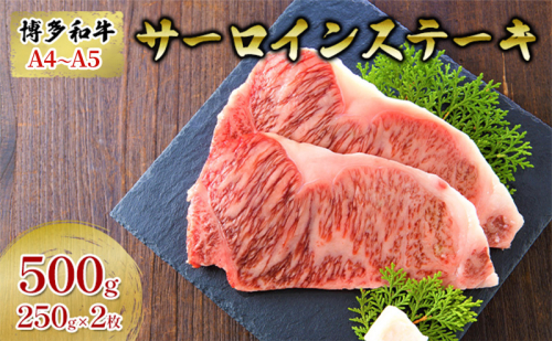 【4月から順次発送】牛肉 サーロインステーキ 合計500g 博多和牛 A4～A5 250g×2枚 セット 配送不可：離島