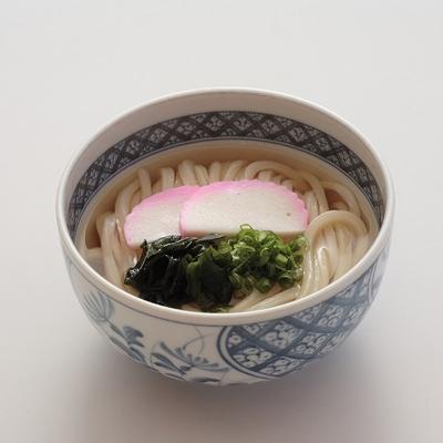 ふるさと納税 観音寺市 讃岐うどん　麺のみ(20人前)