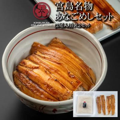 ふるさと納税 廿日市市 あなごめしセット《2尾入り》×2セット(桑田米2合・秘伝のタレ付)
