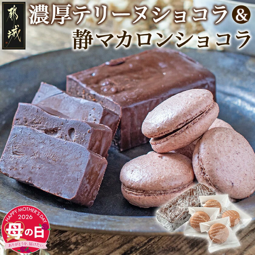 【ふるさと納税】【母の日】濃厚テリーヌショコラ＆静マカロンショコラセット≪5月7日〜10日お届け≫ - チョコレート ショコラ 洋菓子 お菓子 おやつ スイーツ 冷凍 母の日 ギフト プレゼント 贈答用 送料無料 LG-C203-MG 【宮崎県都城市は2年連続ふるさと納税日本一！】