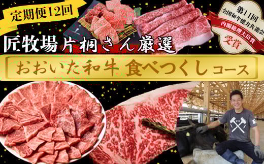 [4月発送開始]＜12か月定期便＞匠牧場 片桐さん厳選【おおいた和牛食べつくしコース】 牛肉 和牛 定期便 12回 12ヶ月 おすすめ 国産  ＜102-804＞