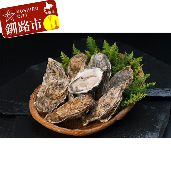 【ふるさと納税】【ぷりっぷりで濃厚！】釧路管内産【活】牡蠣（中）20個（カキナイフ付き） 北海道 釧路 ふるさと納税 牡蠣 カキ かき 貝 魚介類 海産物 海のミルク F4F-7740