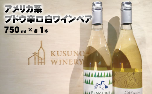 [No.5657-3383]アメリカ系ブドウ辛口白ワインペア（ペンギンズリープ＆デラウェア）750ml×各1本《楠わいなりー》