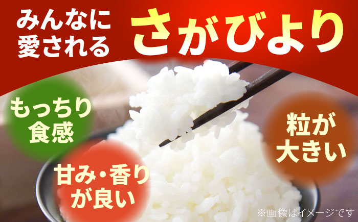 【先行予約 2026年11月～発送】白石町産 さがびより（白米）5kg＆玉ねぎたっぷりカレー 5袋（レトルト）詰め合わせ【AGUMIGroup（農業女子グループ）】お米 [IAT002]