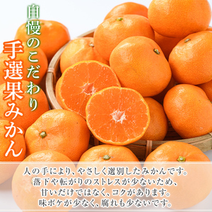 ＜先行予約受付中！2026年10月中旬以降順次発送予定＞ 訳あり！鹿児島県産手選果みかん(計10kg) 国産 柑橘 果物 フルーツ ご家庭用 サイズ 不揃い【三笠農業生産】akn051-11