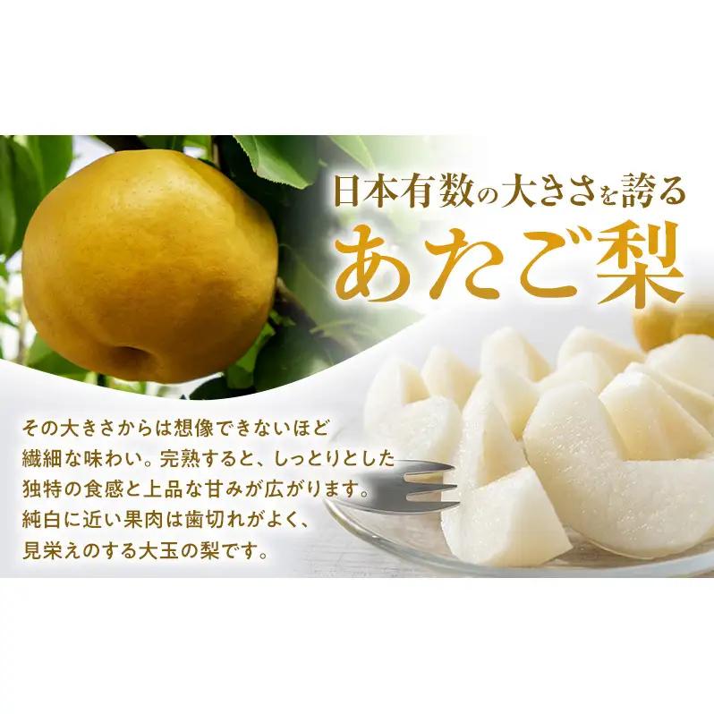 あたご梨 3～6玉 合計約4kg 梨 なし 果物 フルーツ 岡山県産 2026年
