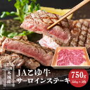 【ふるさと納税】JAこゆ牛 特選木城産 サーロインステーキ 750g - 3枚 ステーキ お肉 牛肉 冷凍配送 国産黒毛和牛 ローカルブランド JAこゆ牛 希少 ビーフステーキ ステーキ肉 250g×3 送料無料 【宮崎県木城町】