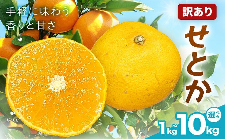 
                  せとか 訳あり 選べる内容量 1kg 2kg 3kg 4kg 5kg 6kg 7kg 8kg 9kg 10kg 株式会社農業福祉研究機構《2027年2月下旬-3月下旬頃出荷》和歌山県 紀の川市 送料無料 フルーツ 果物 みかん 柑橘 ミカン 旬 旬のフルーツ お取り寄せフルーツ ご家庭用
                