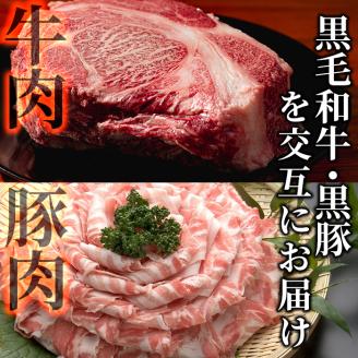 【定期便全6回】黒毛和牛・黒豚を交互にお届け！＜志布志牛・豚 満足定期コース＞計6.3kg超！ t0104-001　定期便 牛肉 豚肉 サーロイン スライス 切り落とし 黒豚 ロース 豚ロース 豚バラ