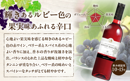 【数量限定】マスカット・ベーリーA 2本セット ワイン 酒 飲料 アルコール 国産_T014-054