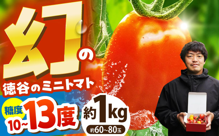 
            徳谷はじまりトマトのミニトマト 約1kg ミックス〈2025年2月下旬〜発送〉 /ミニ プチ トマト 高糖度 高知トマト 【株式会社Dorago】 [ATAM051]
          