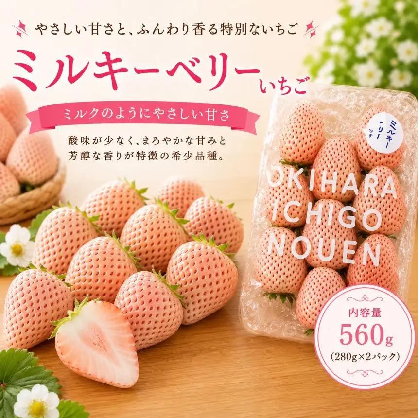 【先行予約】いちご ミルキーベリー 560g (280g×2P)｜栃木県 那珂川町 送料無料