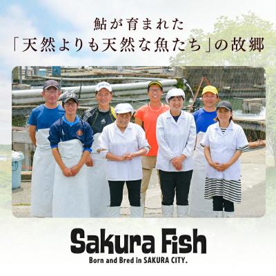 ふるさと納税 さくら市 【鮎の特製炭火焼 5尾セット】 |  | 02