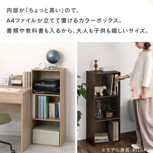 【完成品＋設置付き】カラーボックス 3段 固定棚（ウォールナット）カラーボックス 3段 A4 横置き 縦置き 約 幅40cm 高さ100cm 奥行30cm 収納棚 おしゃれ 本棚 大容量 スリム AK