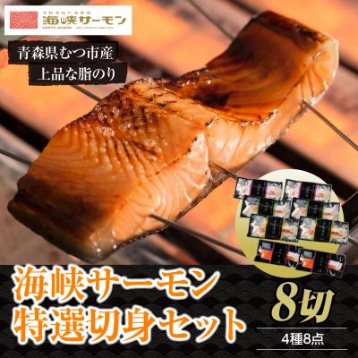 ふるさと納税 むつ市 【期間限定発送】海峡サーモン特選切身セット8切(4種8点)