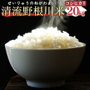 【ふるさと納税】清流野根川米（コシヒカリ）20kg！ 令和5年産 東洋町産 国産 精米 白米 米 コメ こめ もっちり 四国 お取り寄せ 家庭用 自宅用 贈答用 ギフト 贈り物 送料無料 U106