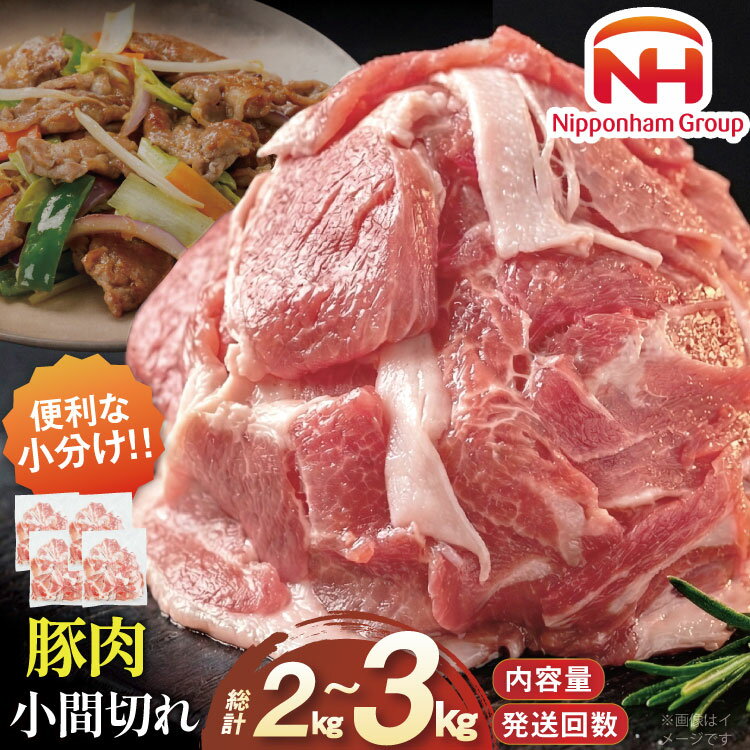 【ふるさと納税】豚肉 日本ハム 選べる 内容量・定期便 宮崎県産 小間切れ 小分け 日ハム [日本ハムマーケティング 宮崎県 日向市 452061250] 冷凍 豚 小間 豚コマ 定期便 3回