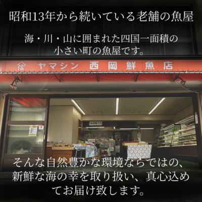 ふるさと納税 田野町 【四国一小さなまち】≪ヤマシン≫  高知鰹のタタキ 訳あり 1.5kg(冷凍) タレ・生姜・柚塩付き |  | 02