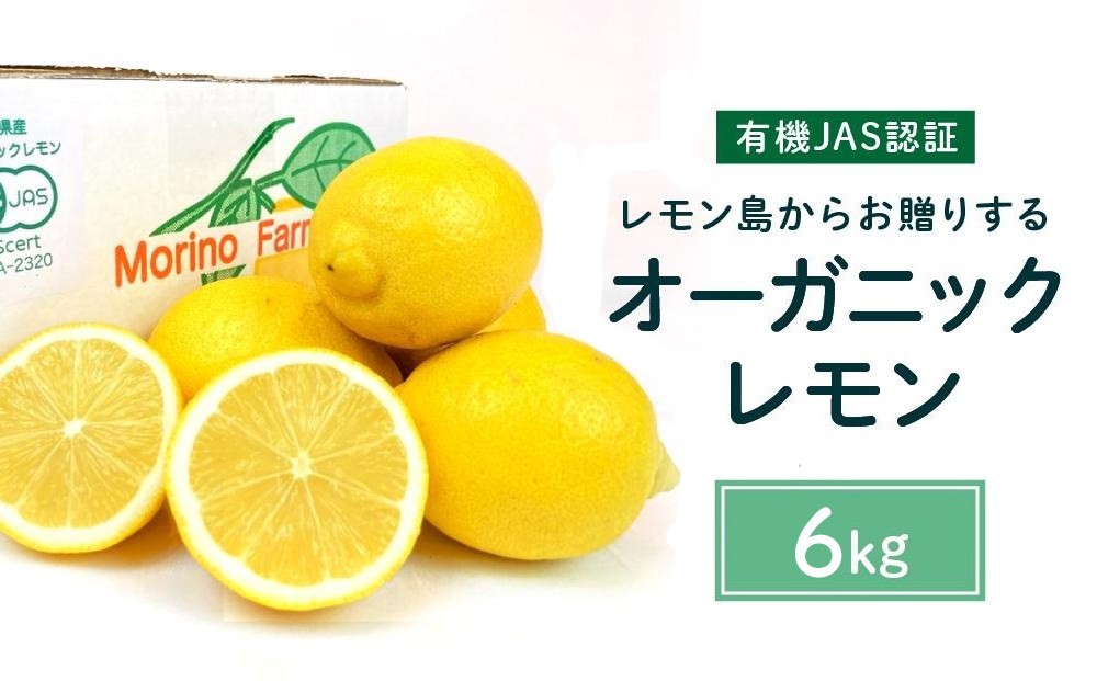
                  【有機JAS認証】レモン島からお贈りするオーガニックレモン 6kg 有機レモン 2月以降発送予定 産直 国産 有機栽培
                