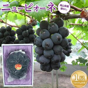 ぶどう 2026年 ニュー ピオーネ 1房（1房約600g前後）産地直送 ぶどう ピオーネ