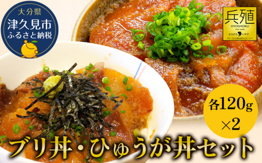 海鮮丼 漬け丼 <ブリ丼・ひゅうが丼セット> 漬け丼 各120g×2 | 海鮮丼 漬け丼 海鮮漬け丼 丼物 ぶり海鮮丼 ぶり漬丼 豊後まぐろ 本鮪 マグロ 漬け丼 大分県 九州 津久見市