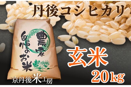 2025年産　京丹後産コシヒカリ 玄米20kg  ふるさと納税 米 お米 ご飯 ごはん コシヒカリ 国産 こめ ごはん 京都産 こしひかり 農家応援 生産者応援 送料無料