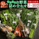 【ふるさと納税】特別栽培 旬の採れたて お野菜 7～10種類詰め合わせセット TAGATAME タガタメ【野菜 特別栽培 栽培期間中農薬不使用 採れたて さぬき市】