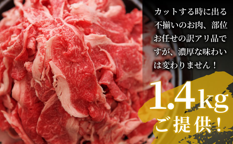 【最短翌日発送】 飛騨牛 切り落とし 1.4kg (700g×2P) 訳あり 牛肉 和牛 肉 お肉 切落し 不揃い にく 切り落し 東白川村 ブランド牛 国産 人気 おすすめ 薄切り きりおとし 岐阜