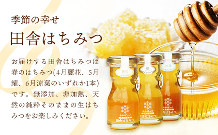 田舎はちみつのお酒 HONEYVERSARY＆田舎はちみつセット 酒蔵で造るミード ハニーワイン ／ 国産 酒 蜂蜜 天然 非加熱