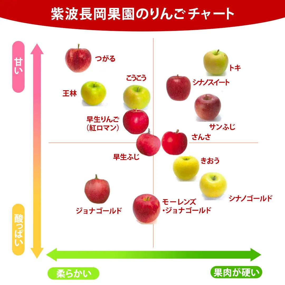 【ご家庭用】りんご 品種おまかせ 2種Mix 3kg（6～11玉） (FH001)