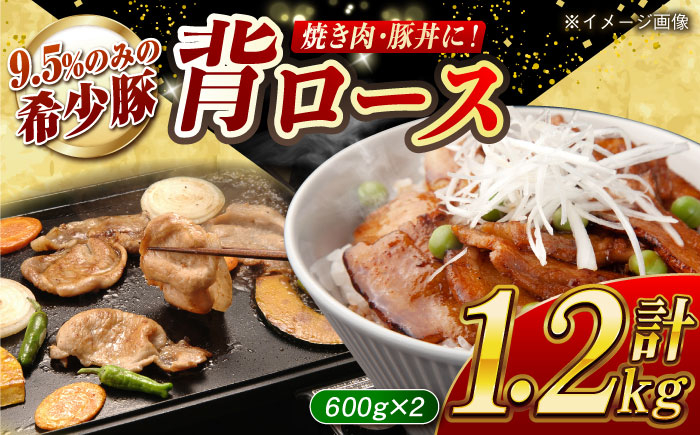
            【焼肉革命】大西海SPF豚 背ロース（焼肉用）計約1.2kg（600g×2パック）長崎県/長崎県農協直販 [42ZZAA072]
          