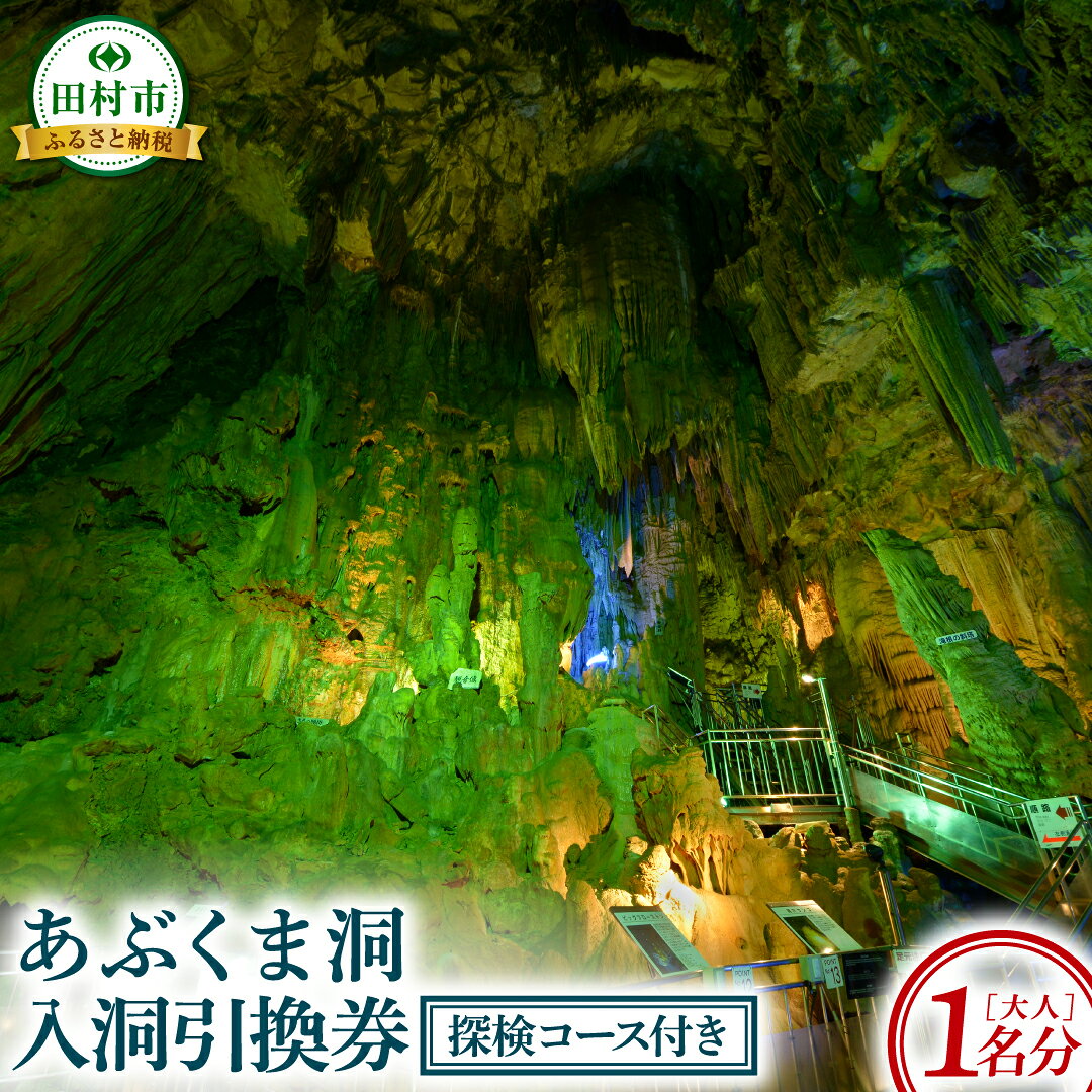【ふるさと納税】あぶくま洞 探検コース付き入洞引換券 （大人1名様分） 体験 鍾乳洞 洞窟 冒険 地下 チケット レジャー旅行 地底探検 観光 歴史 自然 福島県 田村市 一般財団法人田村市滝根観光振興公社