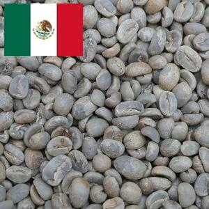 【ミディアムロースト】コーヒー豆 メキシコ SHG クステペック農園 Qグレード coffeebeans & sweets Antiqueによるこだわり焙煎豆