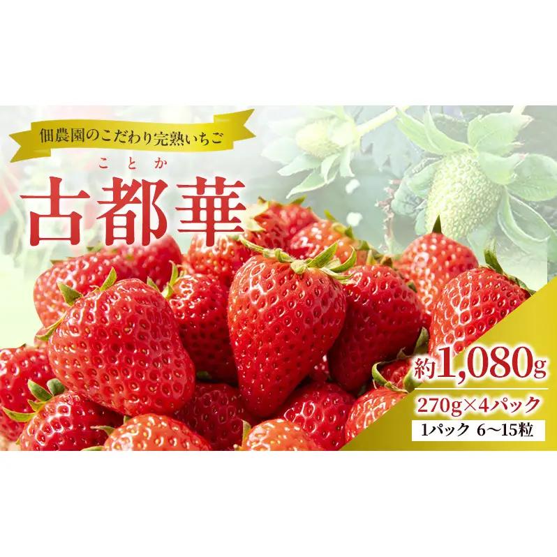 いちご 完熟 古都華 佃農園 奈良県産 いちご【約1080g 270g×4パック】【冷蔵 先行予約】